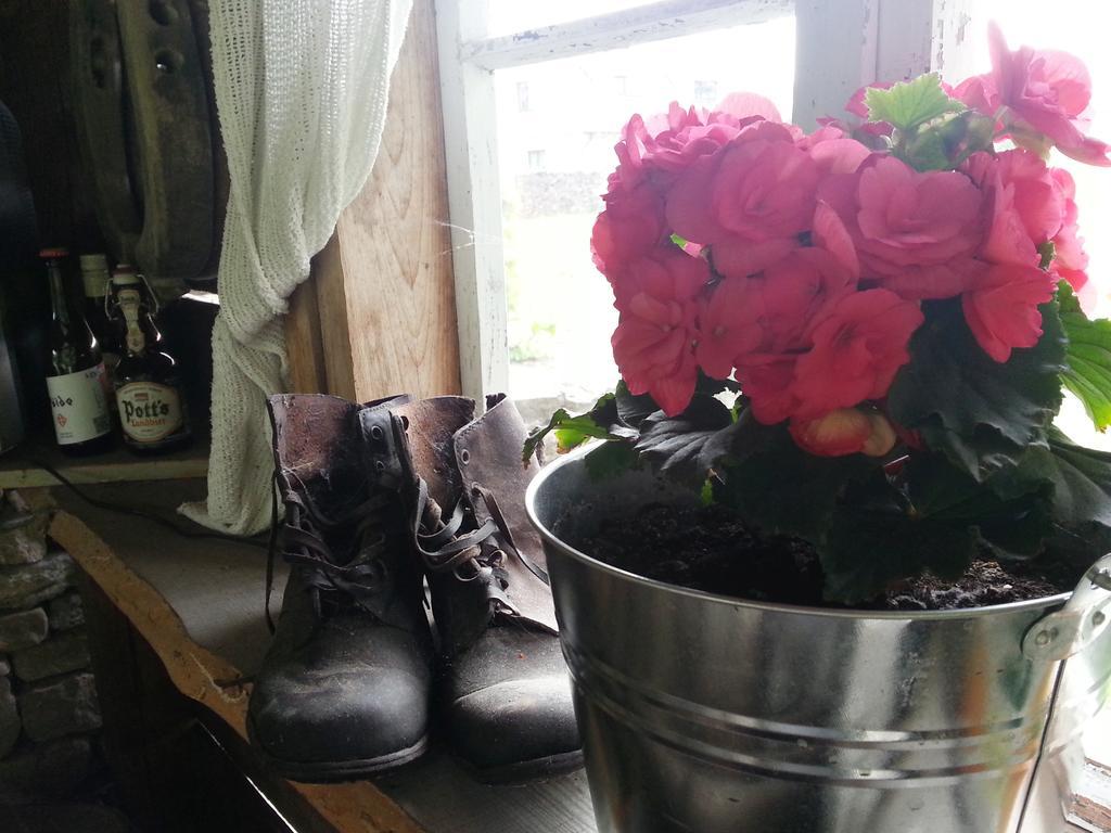 Piibelehe Guest Accommodation 쿠레사아레 외부 사진