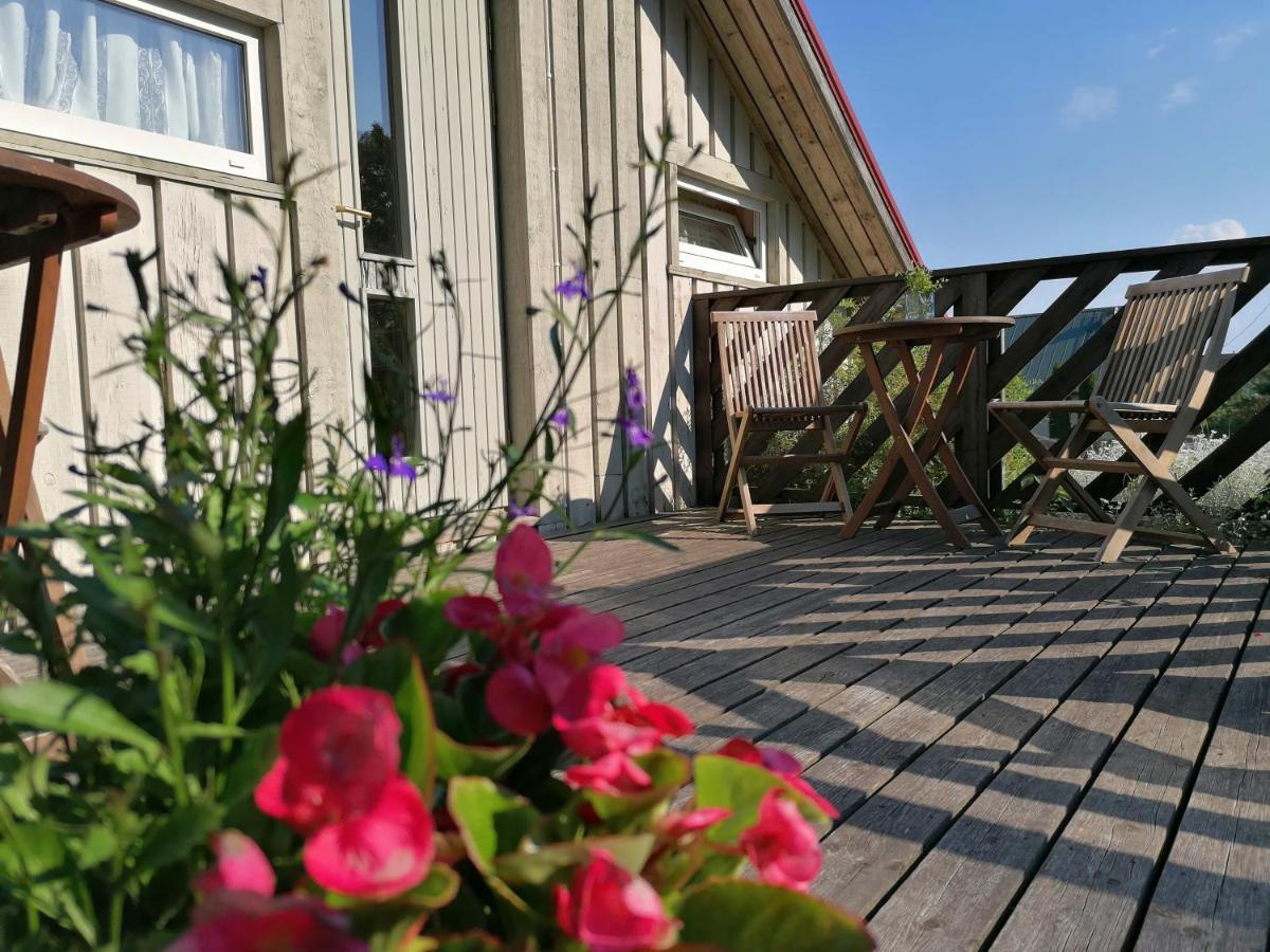 Piibelehe Guest Accommodation 쿠레사아레 외부 사진