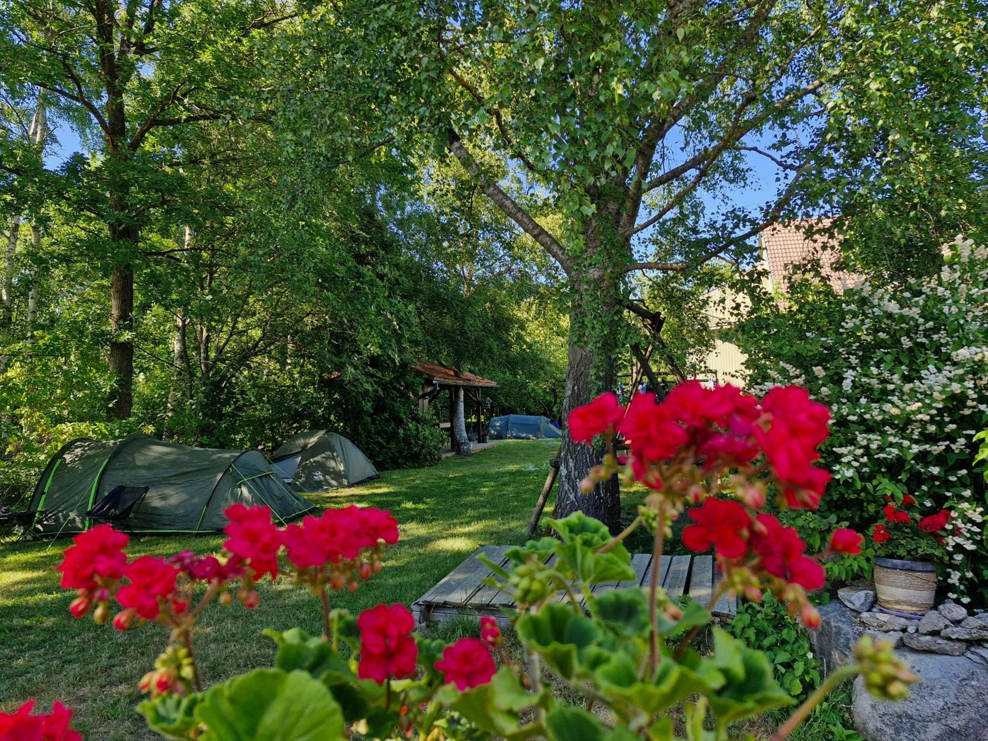 Piibelehe Guest Accommodation 쿠레사아레 외부 사진